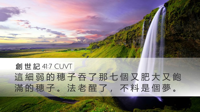 創 世 記 41:7 CUVT Desktop Wallpaper - 這 細 弱 的 穗 子 吞 了 那 七 個 又 - Desktop Bible Verse Wallpaper