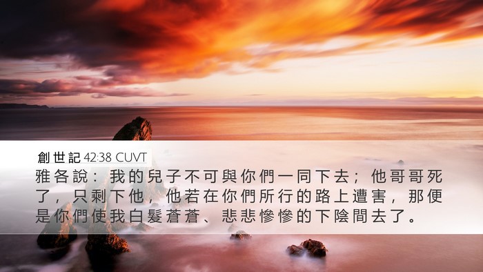 創 世 記 42:38 CUVT Bible Verse Image