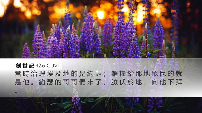創 世 記 42:6 CUVT Bible Verse Image