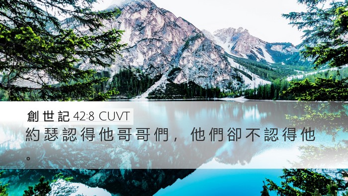 創 世 記 42:8 CUVT Desktop Wallpaper - 約 瑟 認 得 他 哥 哥 們 ， 他 們 卻 - Desktop Bible Verse Wallpaper