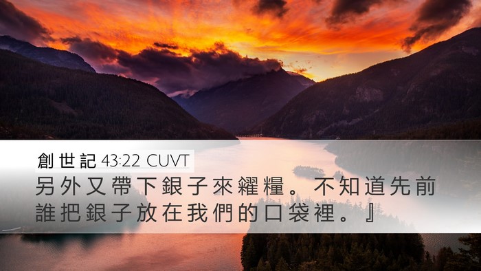 創 世 記 43:22 CUVT Desktop Wallpaper - 另 外 又 帶 下 銀 子 來 糴 糧 。 不 - Desktop Bible Verse Wallpaper