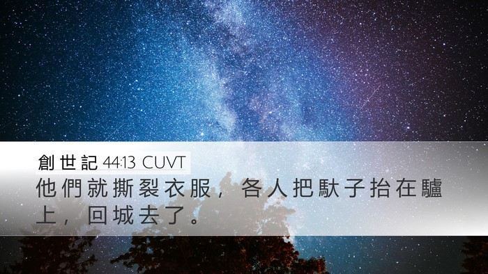創 世 記 44:13 CUVT Desktop Wallpaper - 他 們 就 撕 裂 衣 服 ， 各 人 把 馱 - Desktop Bible Verse Wallpaper