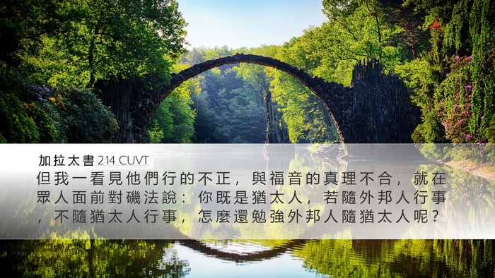 加 拉 太 書 2:14 CUVT Bible Verse Image
