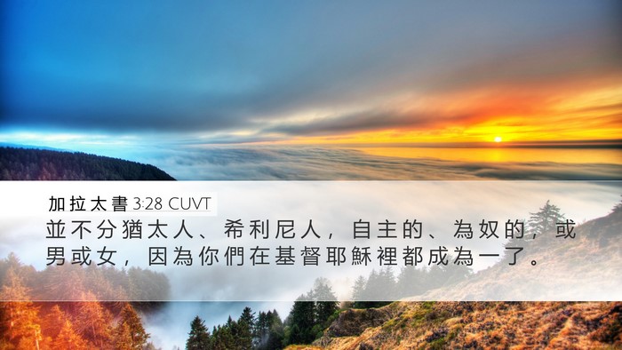 加 拉 太 書 3:28 CUVT Bible Verse Image