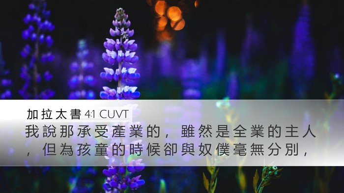 加 拉 太 書 4:1 CUVT Bible Verse Image