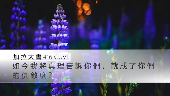 加 拉 太 書 4:16 CUVT Bible Verse Image