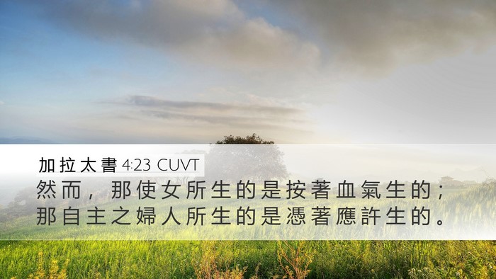 加 拉 太 書 4:23 CUVT Bible Verse Image