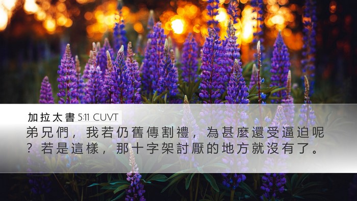 加 拉 太 書 5:11 CUVT Bible Verse Image