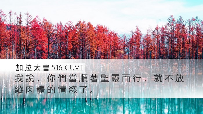 加 拉 太 書 5:16 CUVT Bible Verse Image