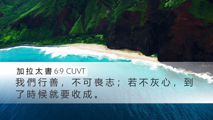 加 拉 太 書 6:9 CUVT Bible Verse Image