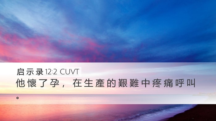 启 示 录 12:2 CUVT Desktop Wallpaper - 他 懷 了 孕 ， 在 生 產 的 艱 難 中 - Desktop Bible Verse Wallpaper
