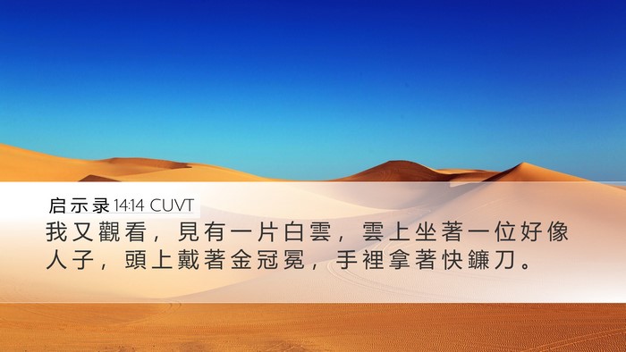 启 示 录 14:14 CUVT Bible Verse Image
