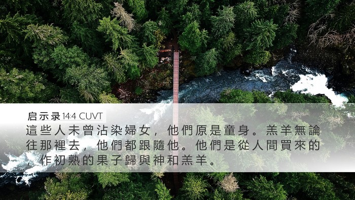 启 示 录 14:4 CUVT Bible Verse Image