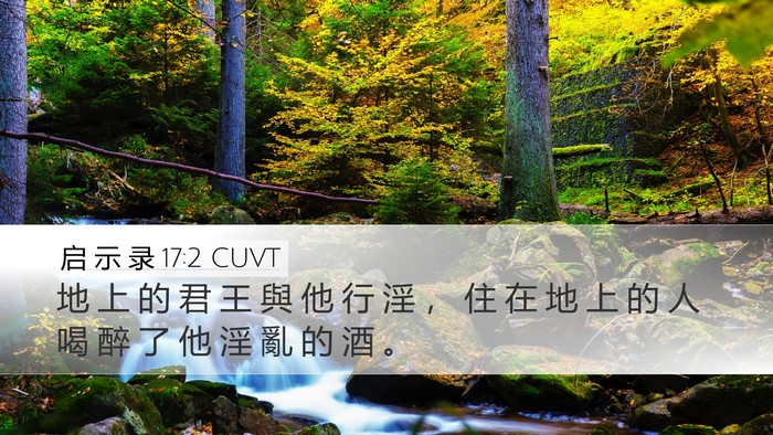 启 示 录 17:2 CUVT Bible Verse Image