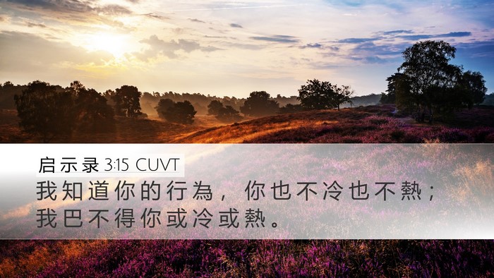 启 示 录 3:15 CUVT Bible Verse Image