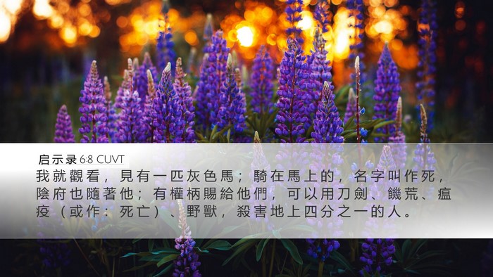 启 示 录 6:8 CUVT Bible Verse Image