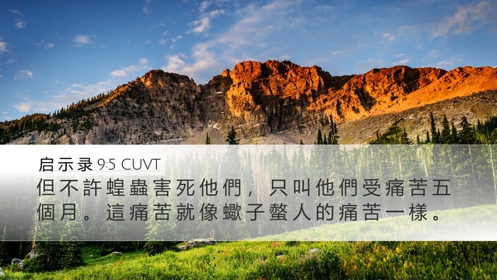 启 示 录 9:5 CUVT Bible Verse Image