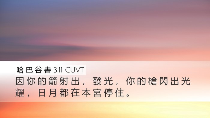 哈 巴 谷 書 3:11 CUVT Bible Verse Image
