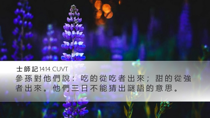 士 師 記 14:14 CUVT Desktop Wallpaper - 參 孫 對 他 們 說 ： 吃 的 從 吃 者 - Desktop Bible Verse Wallpaper