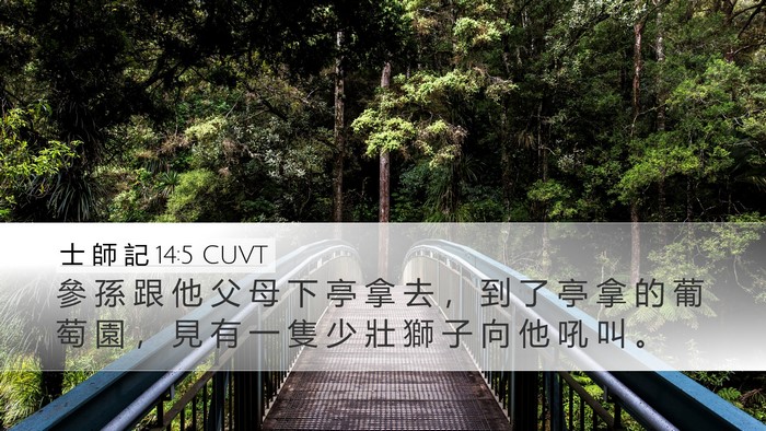 士 師 記 14:5 CUVT Bible Verse Image