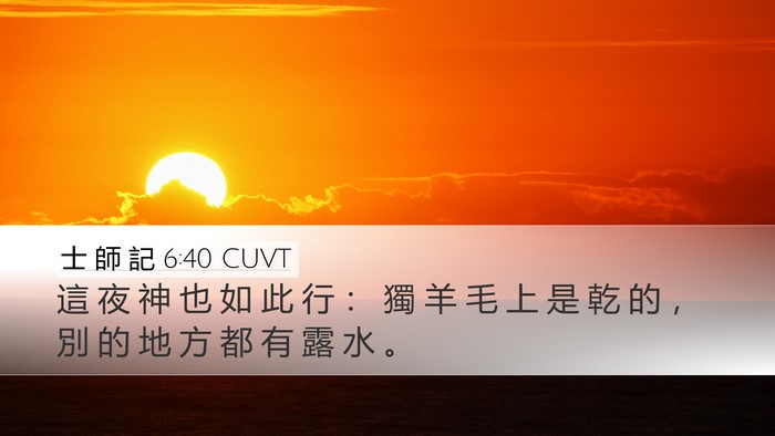 士 師 記 6:40 CUVT Desktop Wallpaper - 這 夜 神 也 如 此 行 ： 獨 羊 毛 上 - Desktop Bible Verse Wallpaper