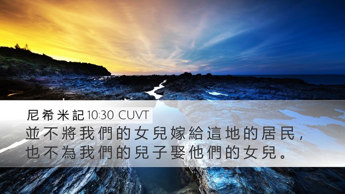 尼 希 米 記 10:30 CUVT Bible Verse Image