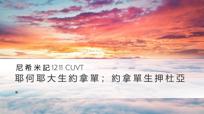 尼 希 米 記 12:11 CUVT Desktop Wallpaper - 耶 何 耶 大 生 約 拿 單 ； 約 拿 單 - Desktop Bible Verse Wallpaper