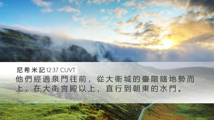 尼 希 米 記 12:37 CUVT Bible Verse Image