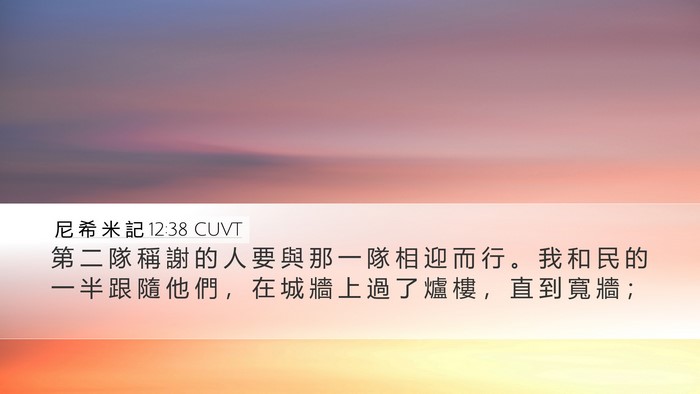 尼 希 米 記 12:38 CUVT Bible Verse Image