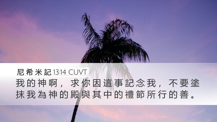 尼 希 米 記 13:14 CUVT Bible Verse Image