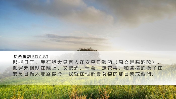 尼 希 米 記 13:15 CUVT Bible Verse Image