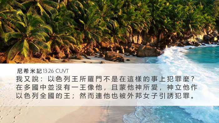 尼 希 米 記 13:26 CUVT Bible Verse Image