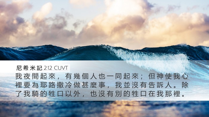 尼 希 米 記 2:12 CUVT Desktop Wallpaper - 我 夜 間 起 來 ， 有 幾 個 人 也 一 - Desktop Bible Verse Wallpaper