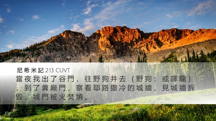 尼 希 米 記 2:13 CUVT Bible Verse Image