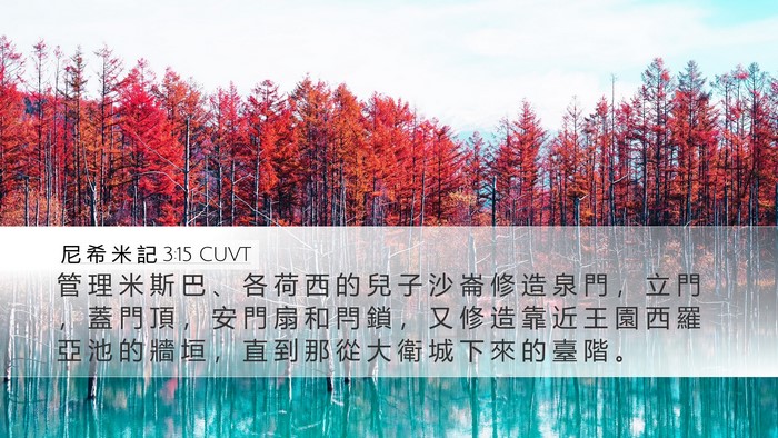 尼 希 米 記 3:15 CUVT Bible Verse Image