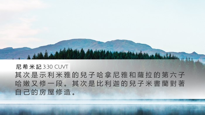 尼 希 米 記 3:30 CUVT Bible Verse Image