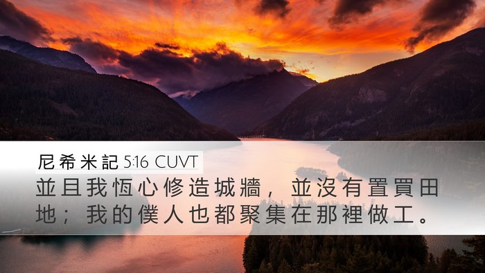 尼 希 米 記 5:16 CUVT Bible Verse Image