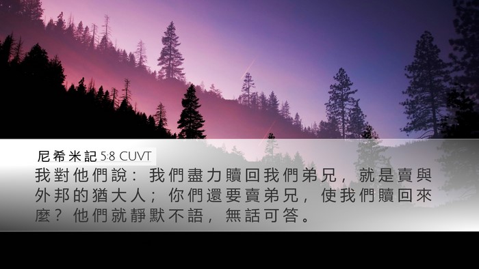 尼 希 米 記 5:8 CUVT Bible Verse Image