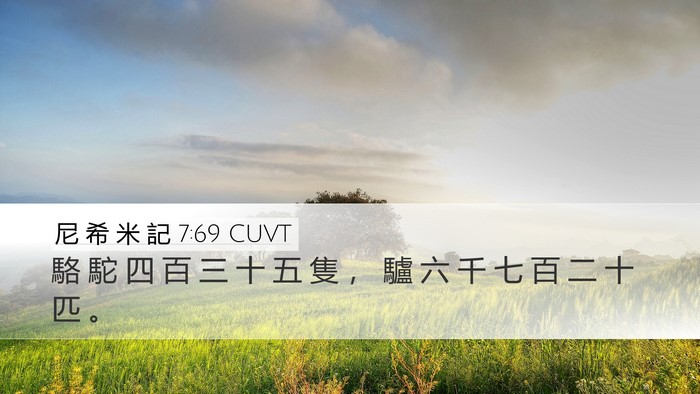 尼 希 米 記 7:69 CUVT Desktop Wallpaper - 駱 駝 四 百 三 十 五 隻 ， 驢 六 千 - Desktop Bible Verse Wallpaper