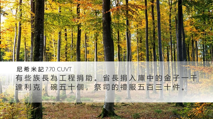 尼 希 米 記 7:70 CUVT Desktop Wallpaper - 有 些 族 長 為 工 程 捐 助 。 省 長 - Desktop Bible Verse Wallpaper
