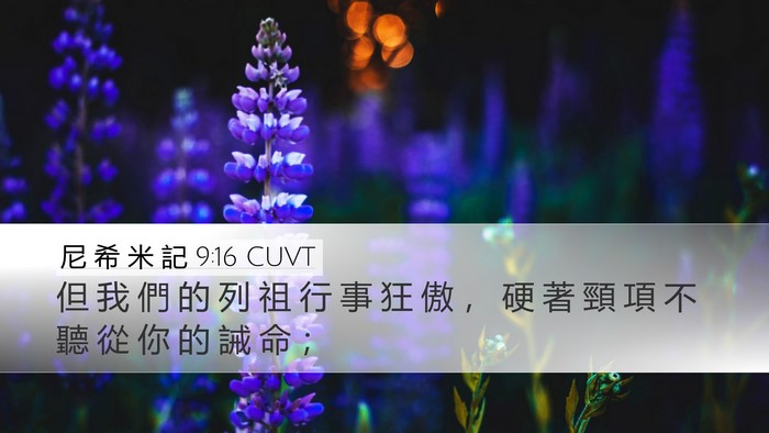 尼 希 米 記 9:16 CUVT Desktop Wallpaper - 但 我 們 的 列 祖 行 事 狂 傲 ， 硬 - Desktop Bible Verse Wallpaper