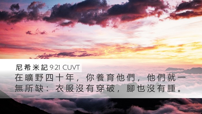尼 希 米 記 9:21 CUVT Bible Verse Image