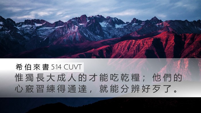 希 伯 來 書 5:14 CUVT Bible Verse Image