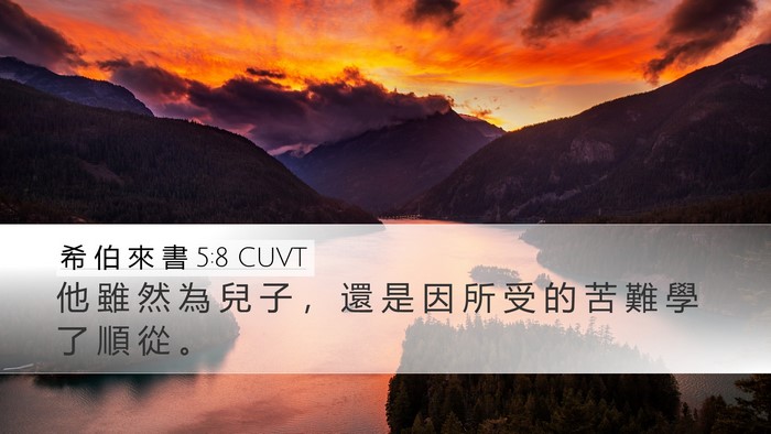 希 伯 來 書 5:8 CUVT Bible Verse Image