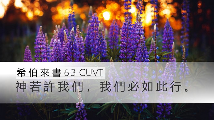 希 伯 來 書 6:3 CUVT Desktop Wallpaper - 神 若 許 我 們 ， 我 們 必 如 此 行 - Desktop Bible Verse Wallpaper