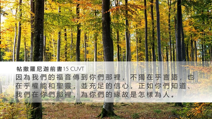 帖 撒 羅 尼 迦 前 書 1:5 CUVT Bible Verse Image