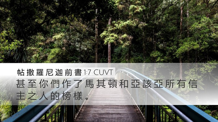 帖 撒 羅 尼 迦 前 書 1:7 CUVT Bible Verse Image