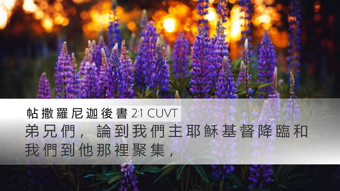 帖 撒 羅 尼 迦 後 書 2:1 CUVT Desktop Wallpaper - 弟 兄 們 ， 論 到 我 們 主 耶 穌 基 - Desktop Bible Verse Wallpaper