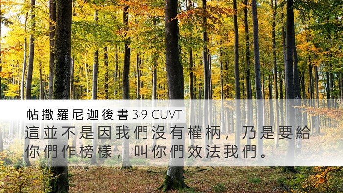 帖 撒 羅 尼 迦 後 書 3:9 CUVT Bible Verse Image