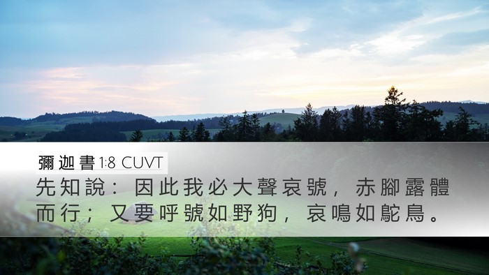 彌 迦 書 1:8 CUVT Bible Verse Image